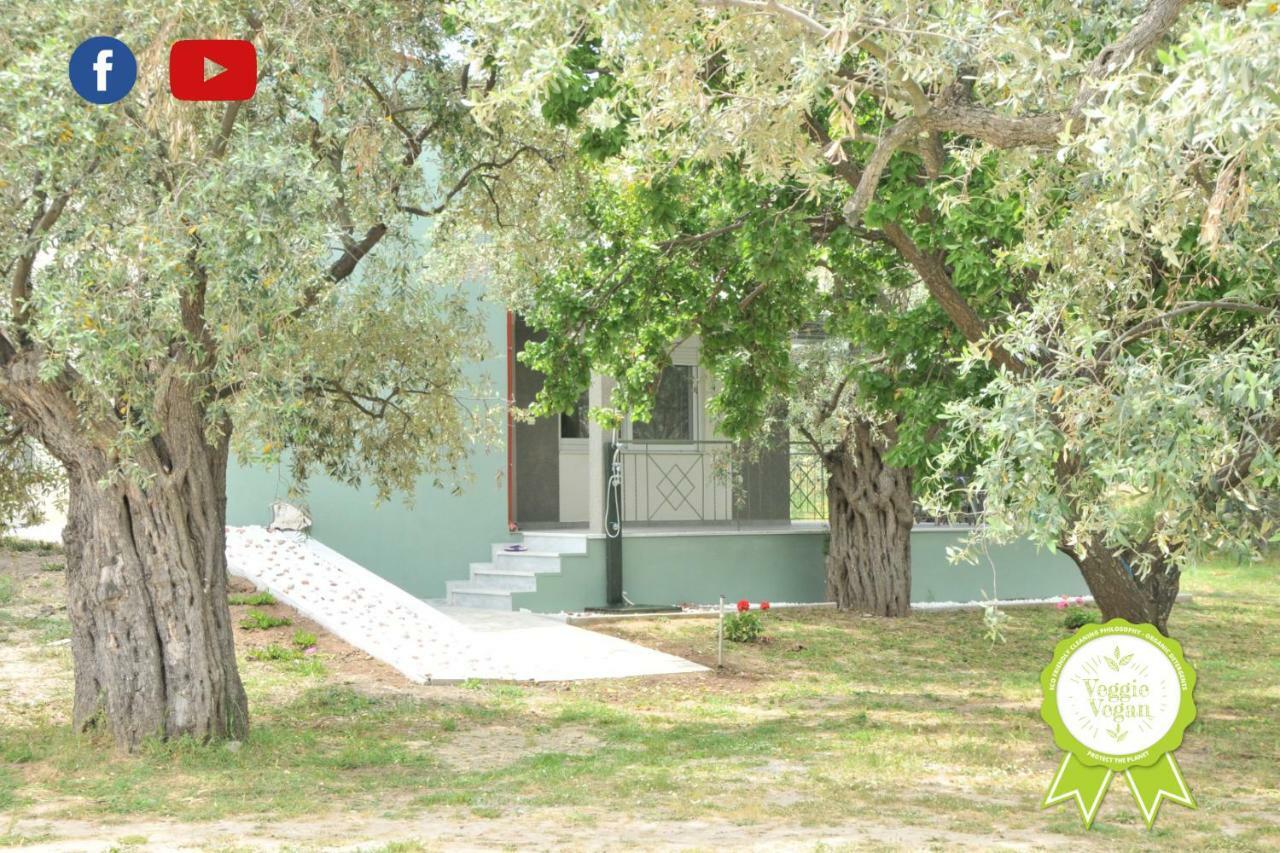 Villa "Elaeda Evdokia" Принос Экстерьер фото